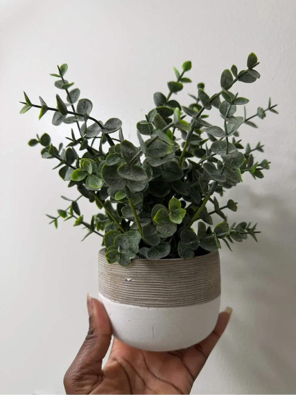 Marshalls Green Eucalyptus Faux Plant in Two-Tone Ceramic Pot